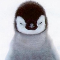 Andrew Dabrowski's avatar