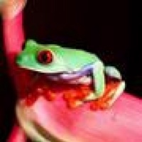 taykay's avatar