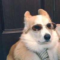Matt's avatar
