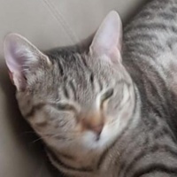 ttrttr's avatar