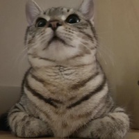 uncertainttr's avatar