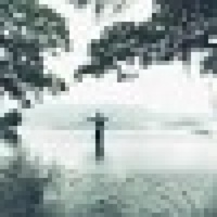 niansi's avatar