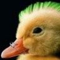Taynor's avatar