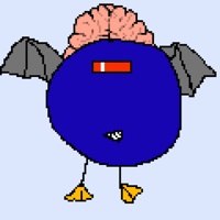 drewkay's avatar