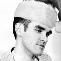 Dominic Adelaar's avatar