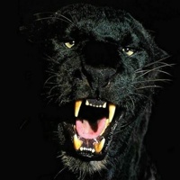 T.W.'s avatar