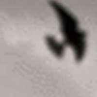 ivoszz's avatar