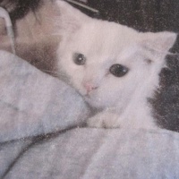 Christopher Taylor's avatar