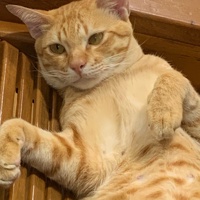Panya's avatar