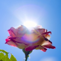 balthasar's avatar