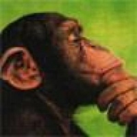 boston20's avatar