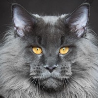 mike21's avatar