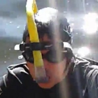 Francis Siefken's avatar