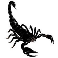 Scorpion's avatar