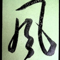 seanachain's avatar
