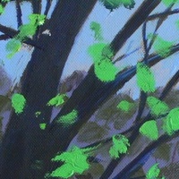Bill Macintire's avatar