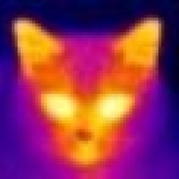 TheCat's avatar