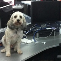 Pancake's avatar