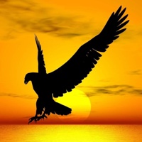 Fawkes's avatar