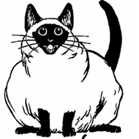 animadi's avatar
